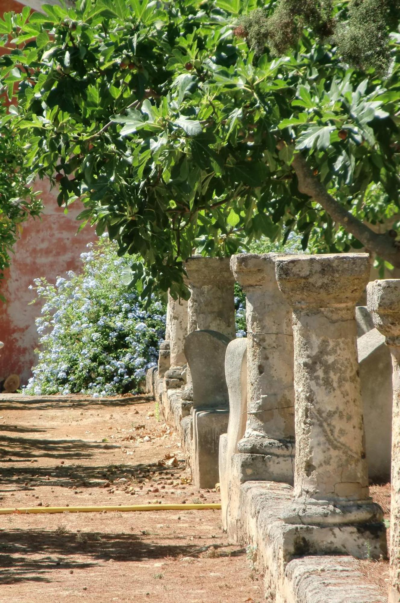 גלטונה Palazzo Leuzzi B&B מראה חיצוני תמונה